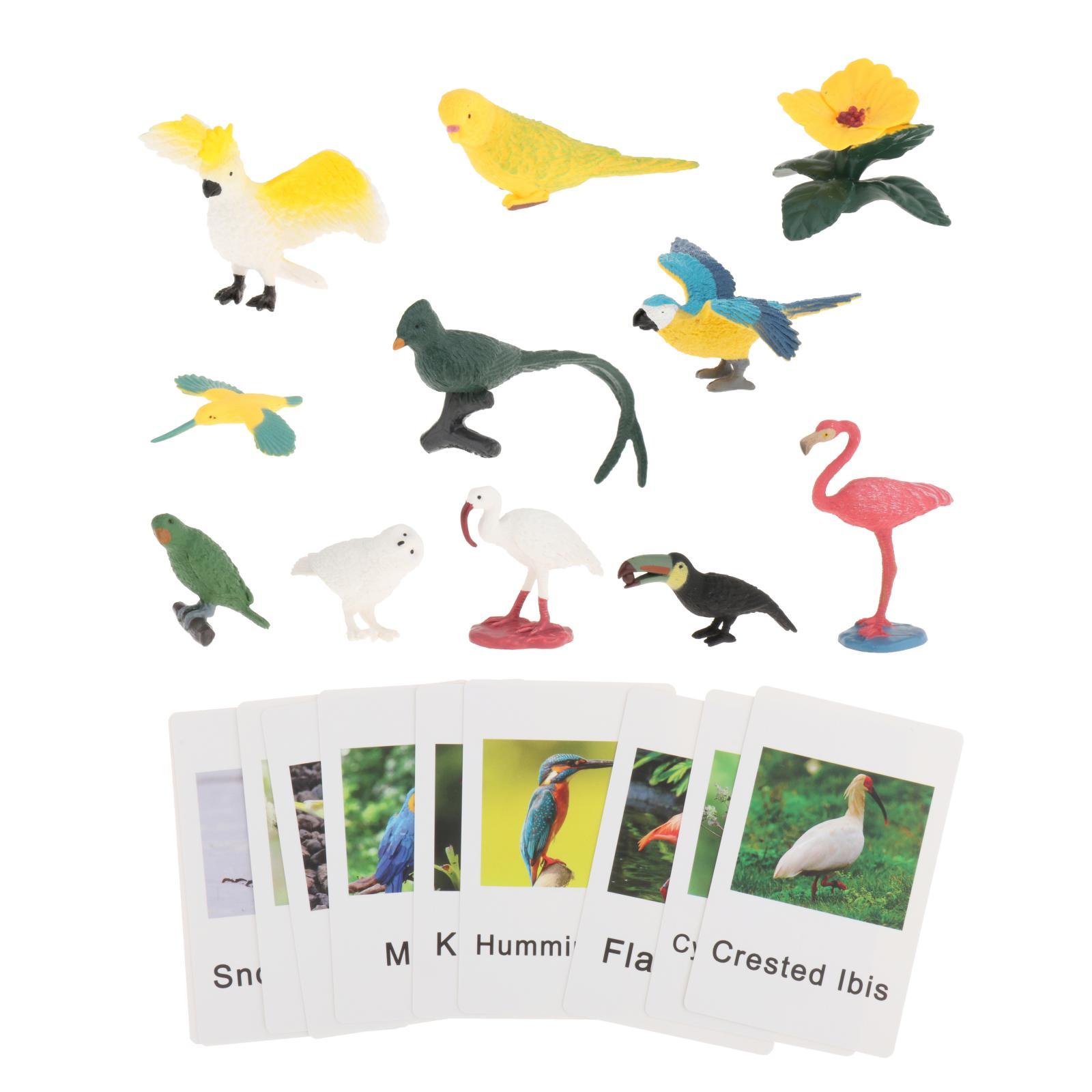 Montessori Tierfiguren mit Ler – Science Nature Bewertung und Preis